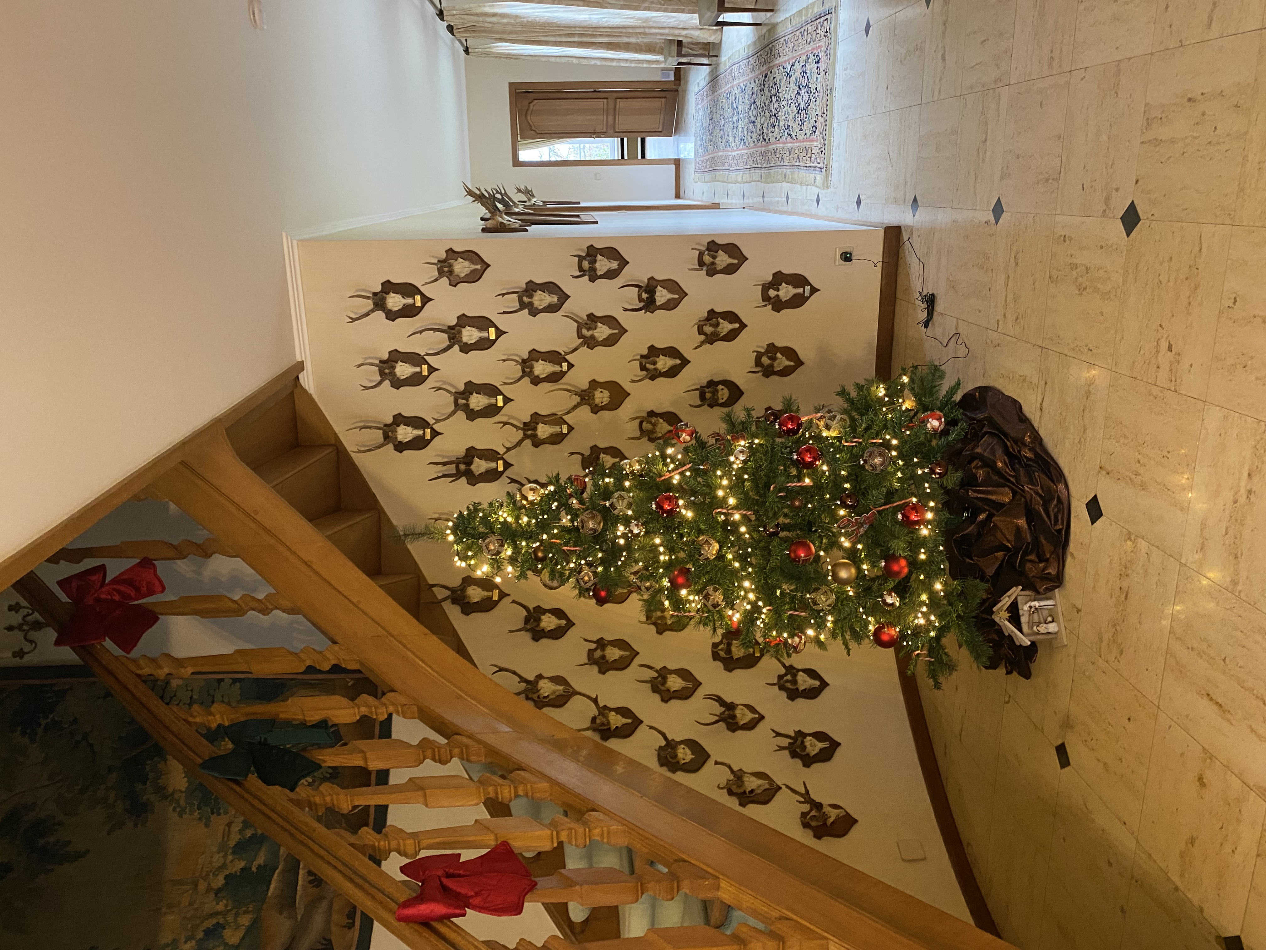 Entrée avec escalier en bois, sapin de Noël et trophées de chasse
